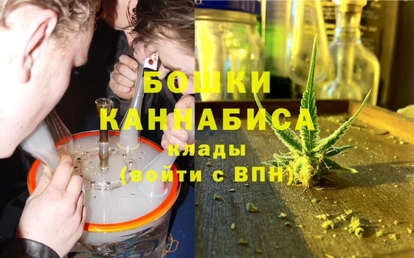 ГАЛЛЮЦИНОГЕННЫЕ ГРИБЫ Аркадак