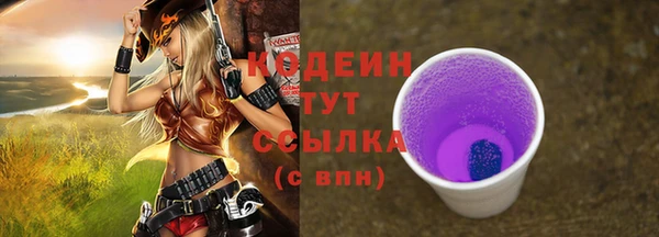 ГАЛЛЮЦИНОГЕННЫЕ ГРИБЫ Аркадак