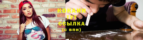 крисы Армянск