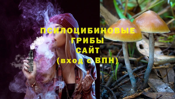 дурь Арсеньев