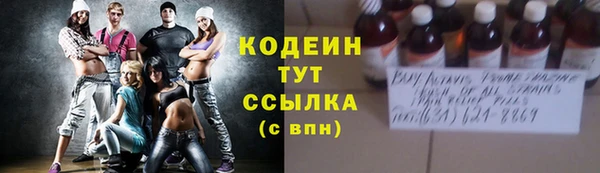 крисы Армянск