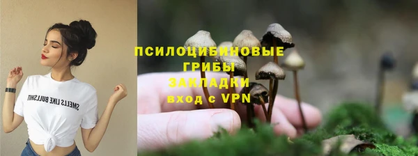 ГАЛЛЮЦИНОГЕННЫЕ ГРИБЫ Аркадак