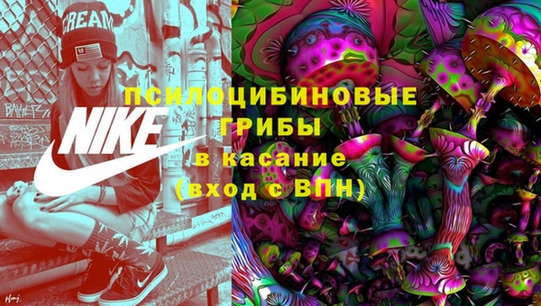 ГАЛЛЮЦИНОГЕННЫЕ ГРИБЫ Аркадак