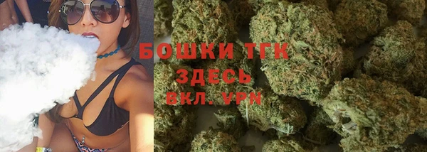 ГАЛЛЮЦИНОГЕННЫЕ ГРИБЫ Аркадак