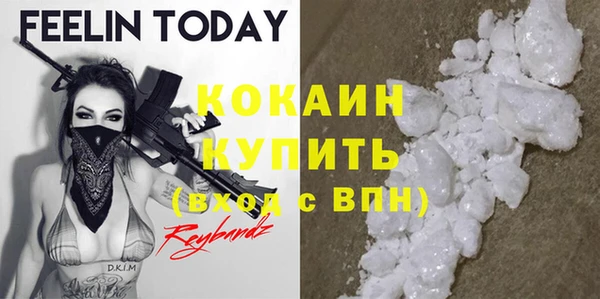 ГАЛЛЮЦИНОГЕННЫЕ ГРИБЫ Аркадак