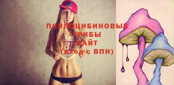 крисы Армянск