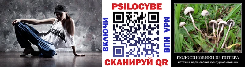 Псилоцибиновые грибы Cubensis  Вихоревка 